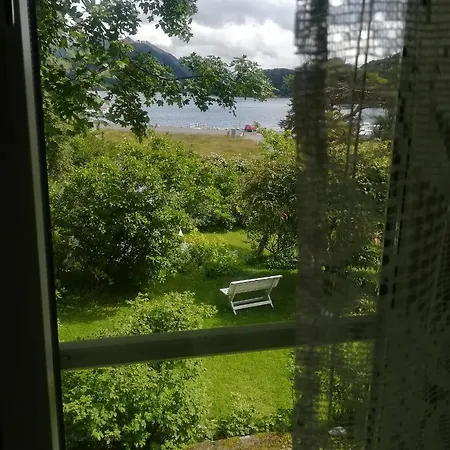 Guest house Solveigs Stue