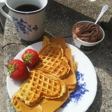 Solveigs Stue Guest house *